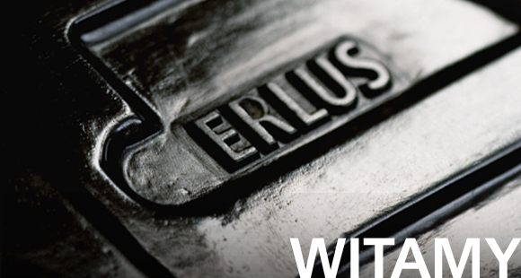 Witamy w Erlusie